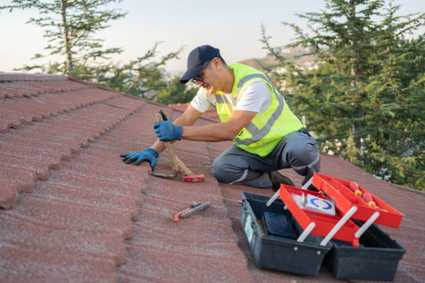 Best Roof Waterproofing Services  in Central City, IL